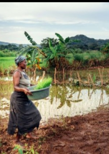 UGANDA EKUULA LYA’ FRIKA