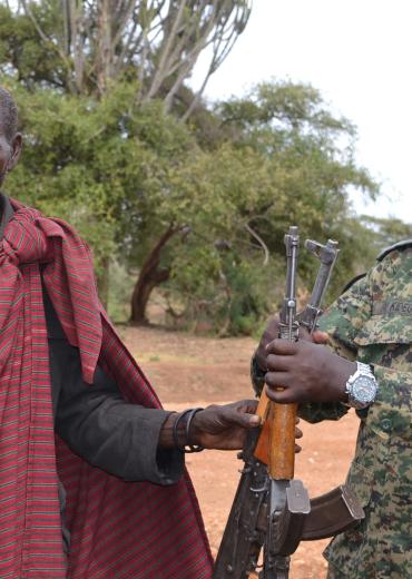 Joint Security Hands Over Livestock as Turkana Surrender Guns in Moroto District.